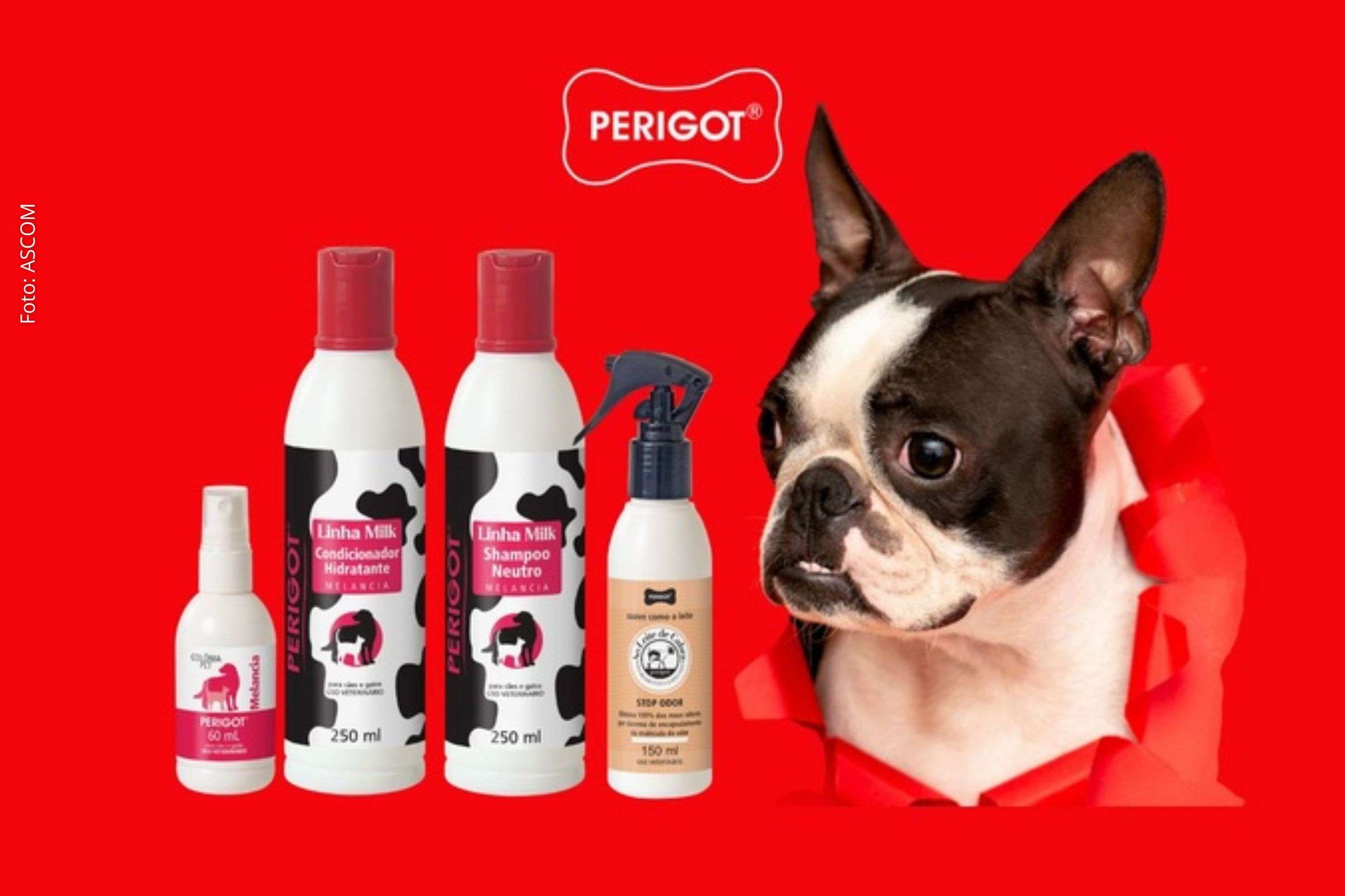 Perigot amplia presença no varejo e leva cuidado profissional de pets para dentro de casa