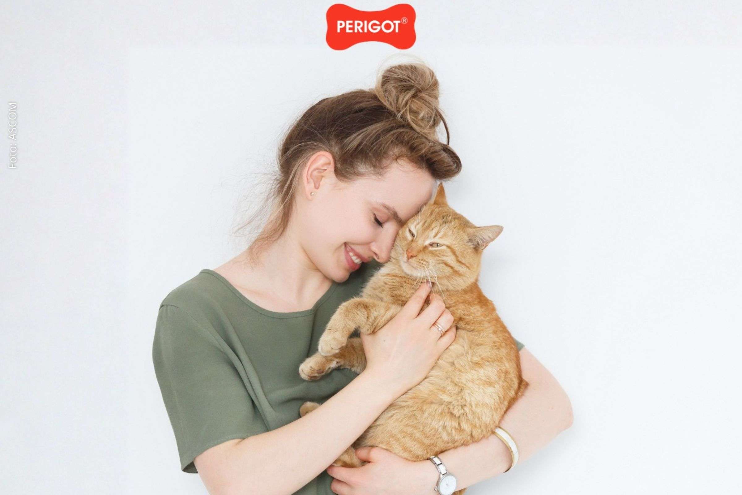Perigot lança campanha “Meu Pet me Salvou” e valoriza histórias reais de vínculo entre tutores e animais