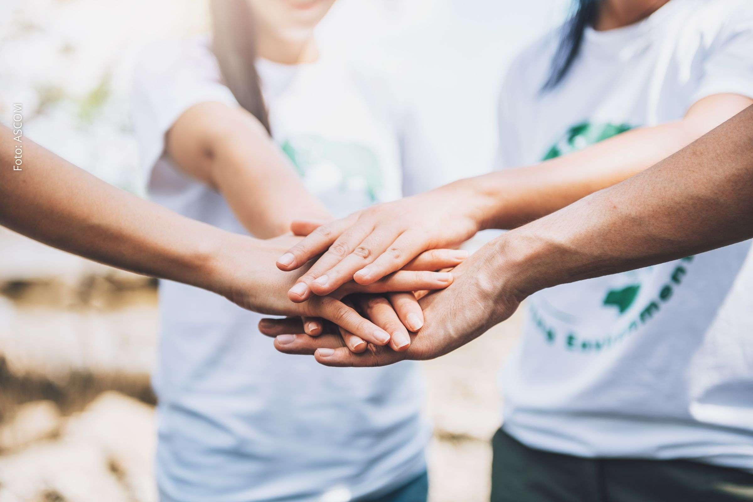 Dia Internacional do Voluntário: Avanço do voluntariado no Brasil impulsiona engajamento social e amplia impacto comunitário