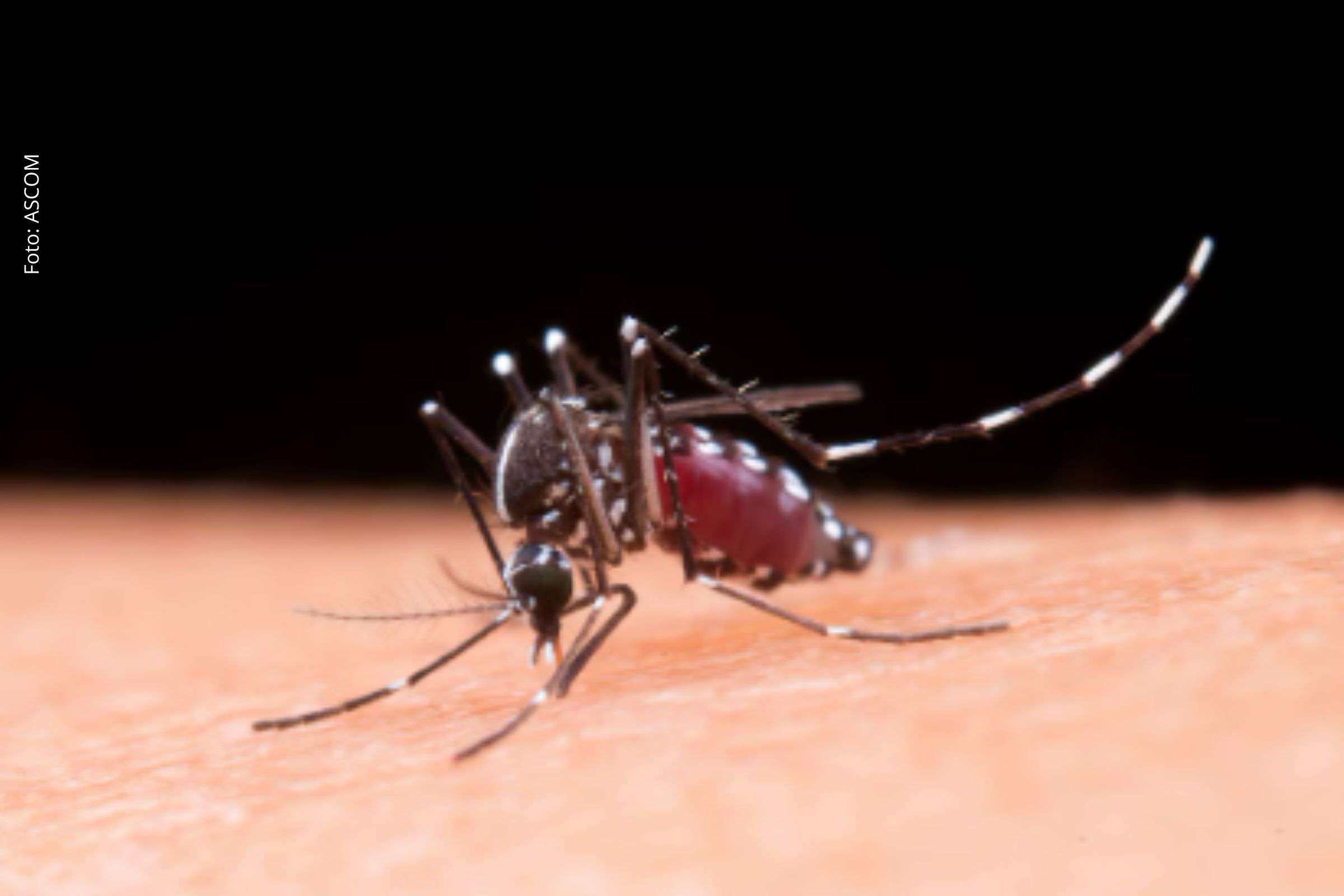 Dados do Ministério da Saúde apontam aumento expressivo de infecções e óbitos, com especialistas destacando cuidados, sintomas e medidas preventivas.