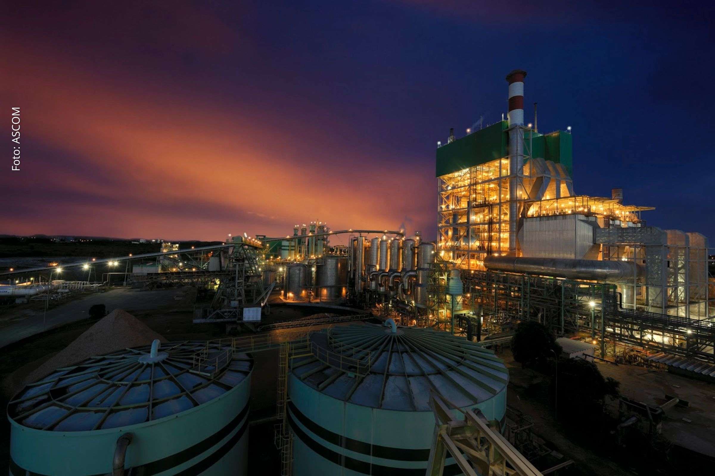 Empresa líder em celulose oferece cargos no setor florestal, administrativo e de pesquisa, com benefícios e programas de desenvolvimento profissional.