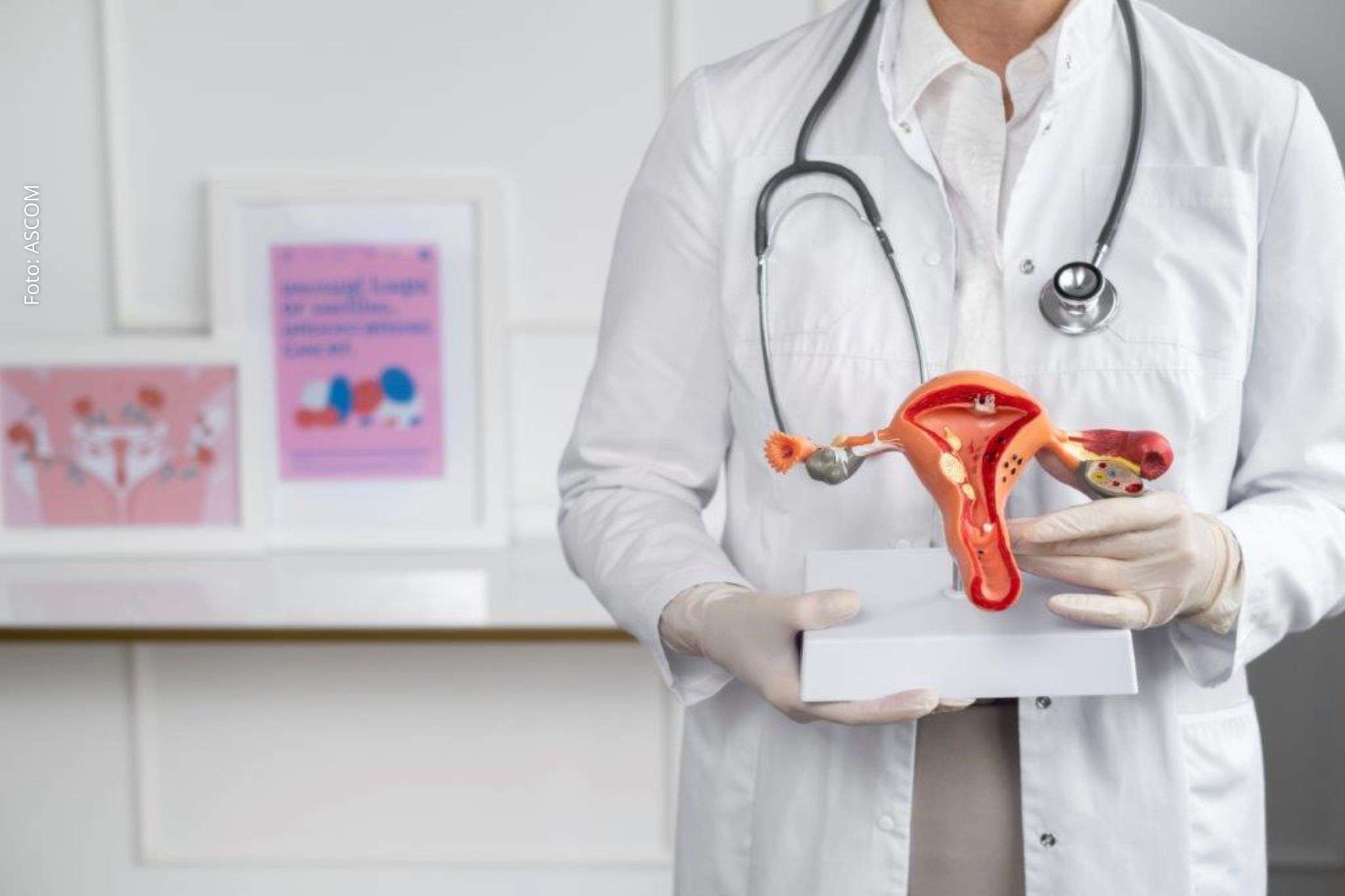 Janeiro Verde: Bahia lidera novos casos de câncer de colo do útero no Nordeste e reforça alerta para prevenção