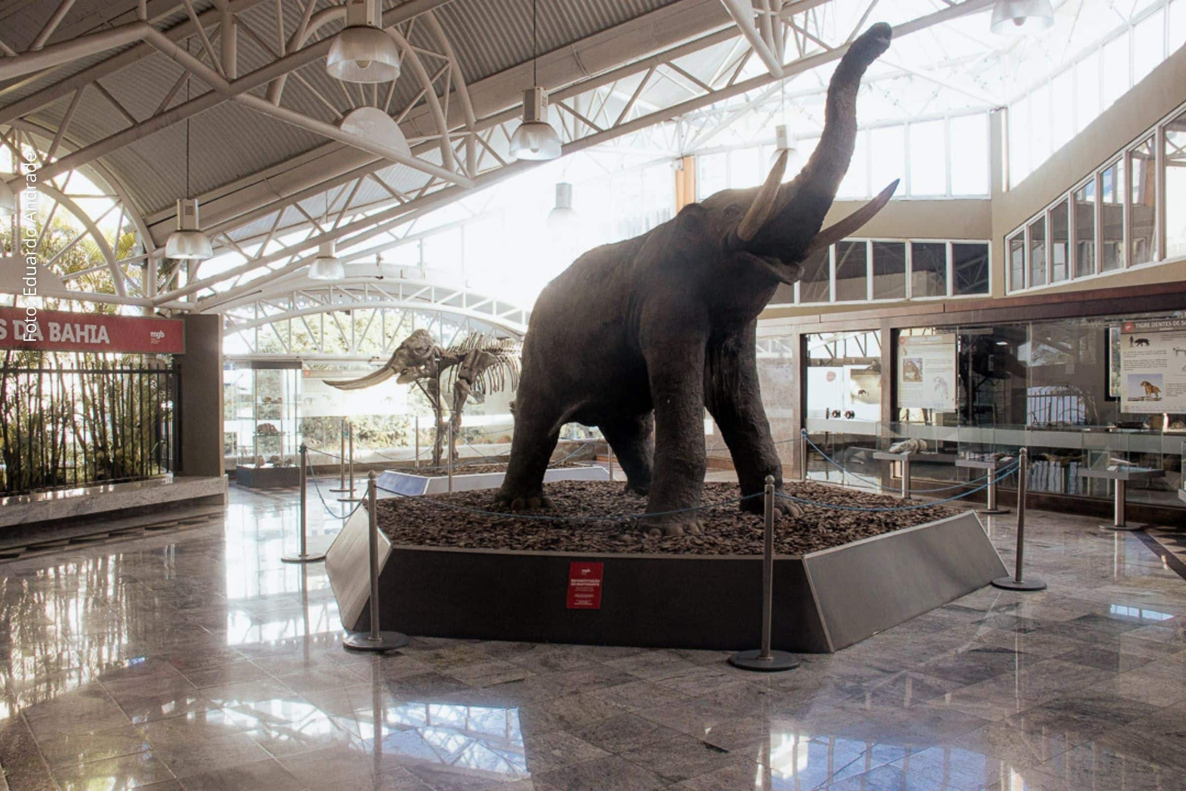 Horário estendido segue no mês, com alterações pontuais no calendário por causa do período carnavalesco.