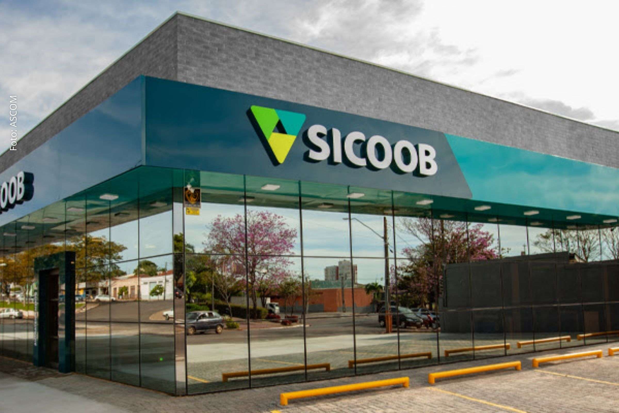Sicoob distribui R$ 2,6 bilhões em Juros ao Capital aos cooperados e registra crescimento de 48% em 2025
