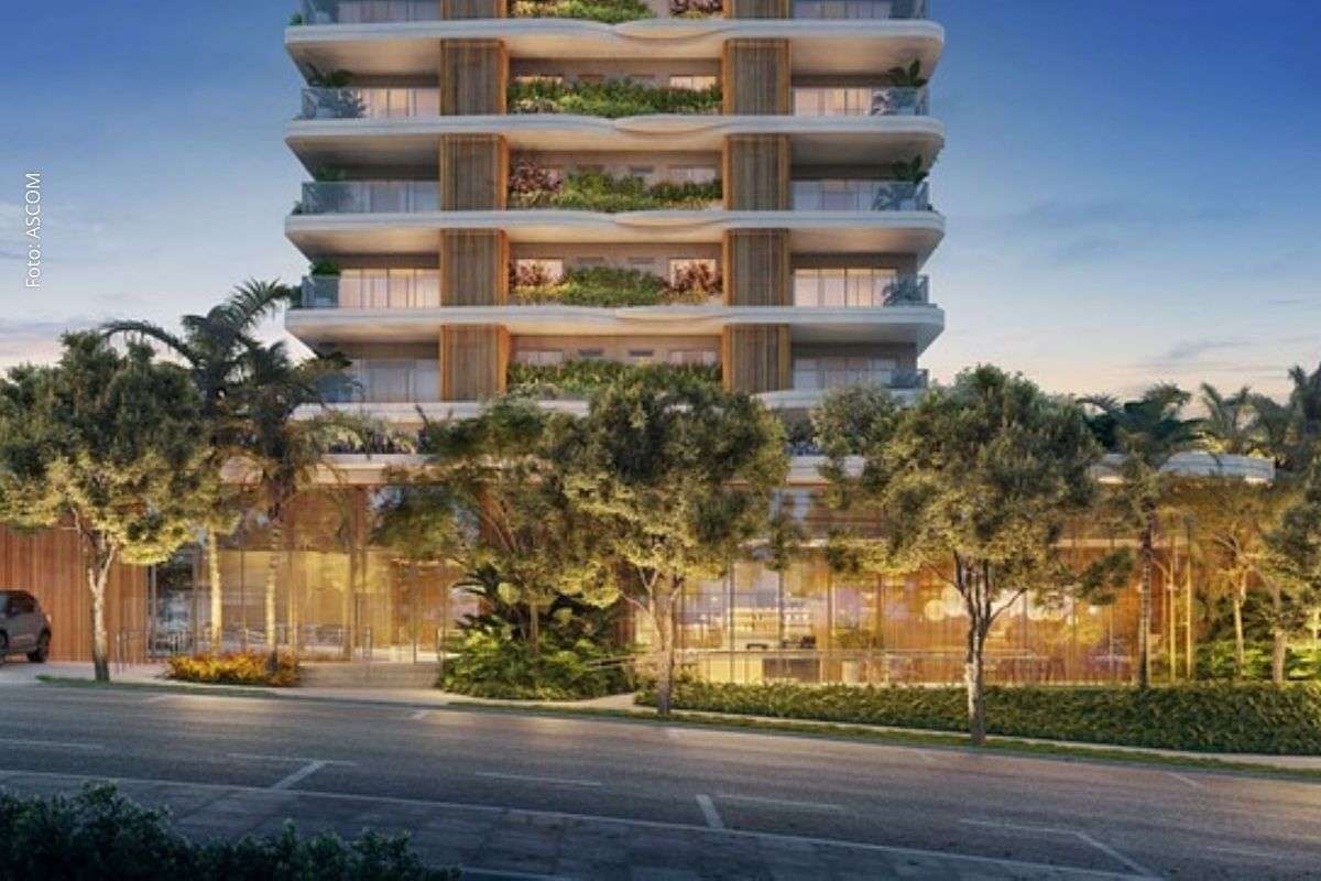 Bosque Caminho das Árvores: Novo empreendimento em Salvador terá espécies nativas, arquitetura biofílica e primeira piscina natural free-Flowing Sand do Brasil