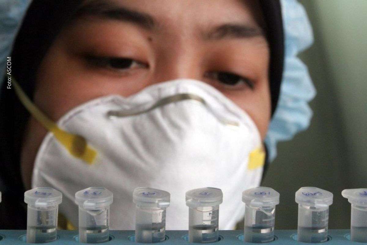 OMS atualiza composição da vacina contra gripe para 2026-2027 e reforça proteção contra variantes e riscos de pandemia