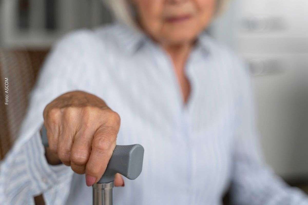 Quedas entre idosos crescem no Brasil e acendem alerta para prevenção, cuidados domésticos e acompanhamento médico