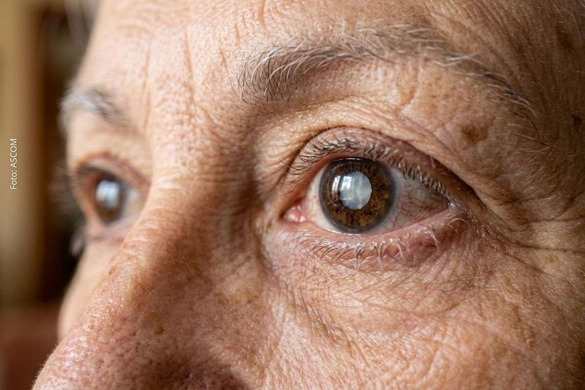 Abril Marrom alerta para doenças oculares e reforça prevenção com envelhecimento da população no Brasil