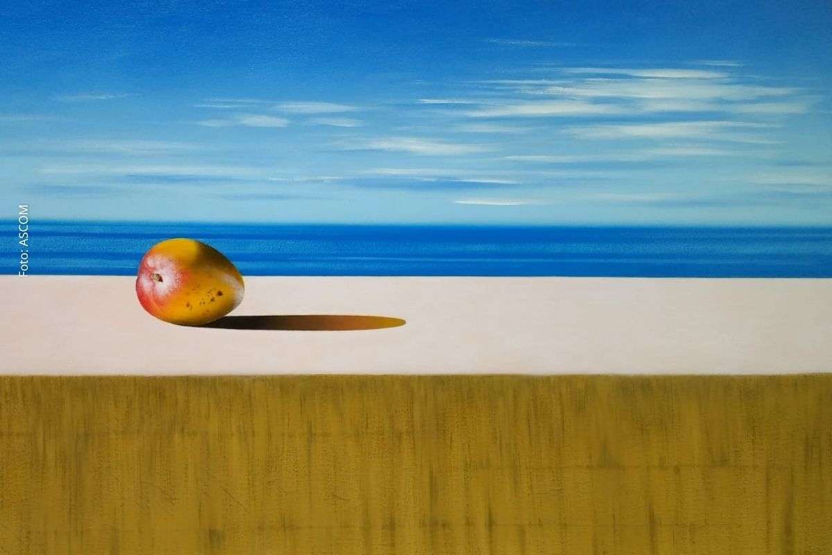 Exposição “Pluralidade em Ressonâncias” reúne mais de 30 artistas em Salvador e abre visitação em abril de 2026