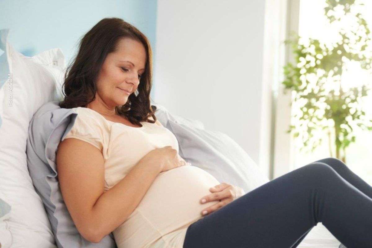 Bahia registra mais de 73% dos ciclos de fertilização in vitro em mulheres acima de 35 anos em 2025, aponta SisEmbrio