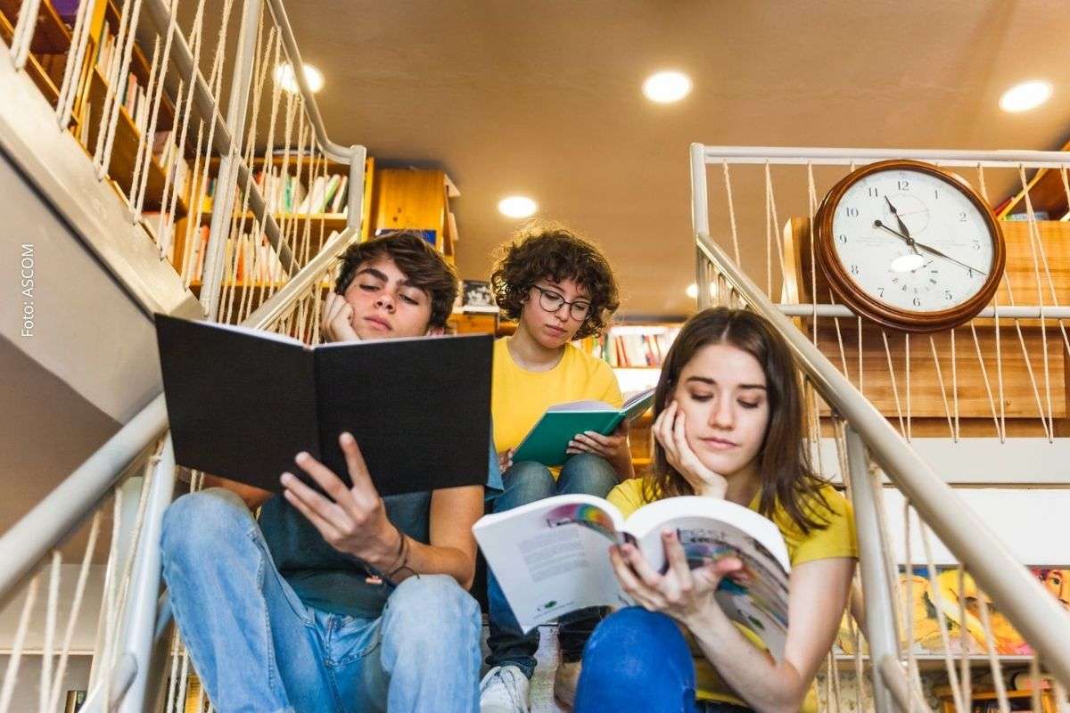 Queda na leitura entre jovens no Brasil preocupa especialistas no Dia Mundial do Livro e reforça importância de incentivo à leitura por escolas e famílias.
