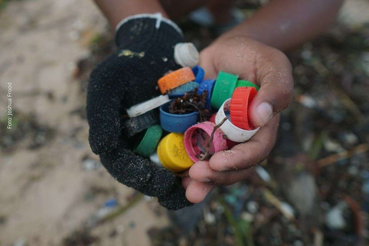 Iniciativa socioambiental retoma atividades e amplia ações de educação ambiental e restauração de corais.