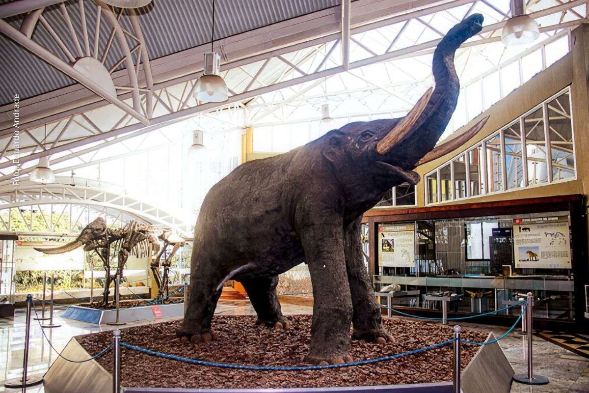 Exposições no MGB, em Salvador, apresentam fósseis, minerais e simulações do Big Bang para educação ambiental e geociências.