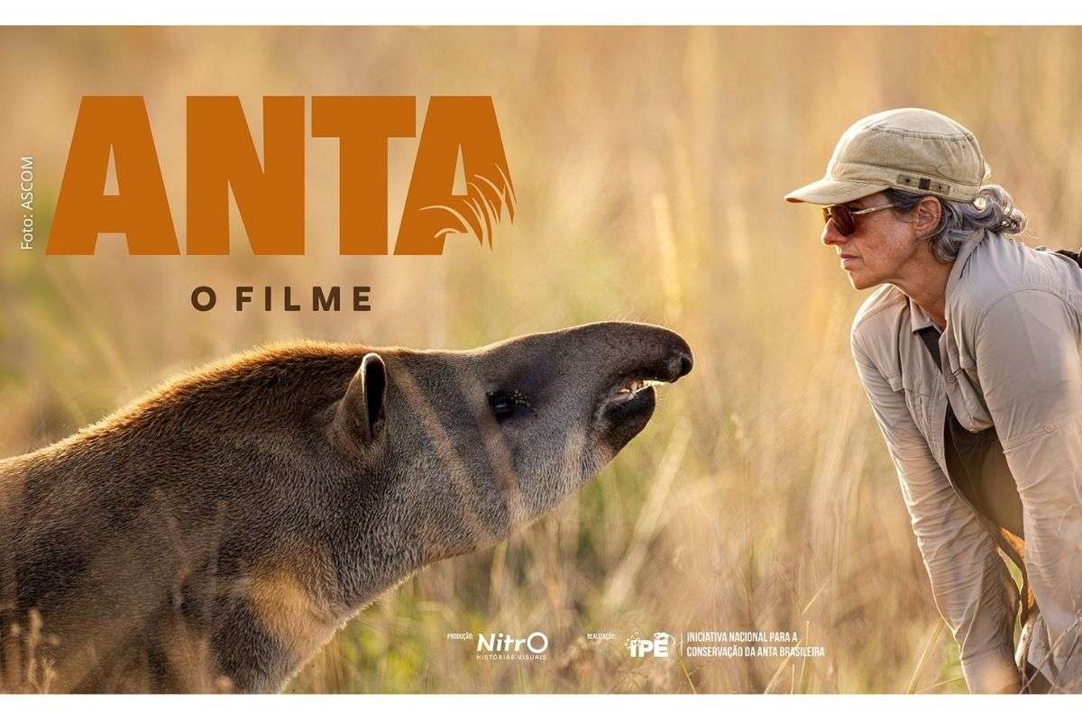 ANTA – O Filme aborda conservação da anta brasileira, biodiversidade e biomas em circuito de pré-estreias pelo Brasil