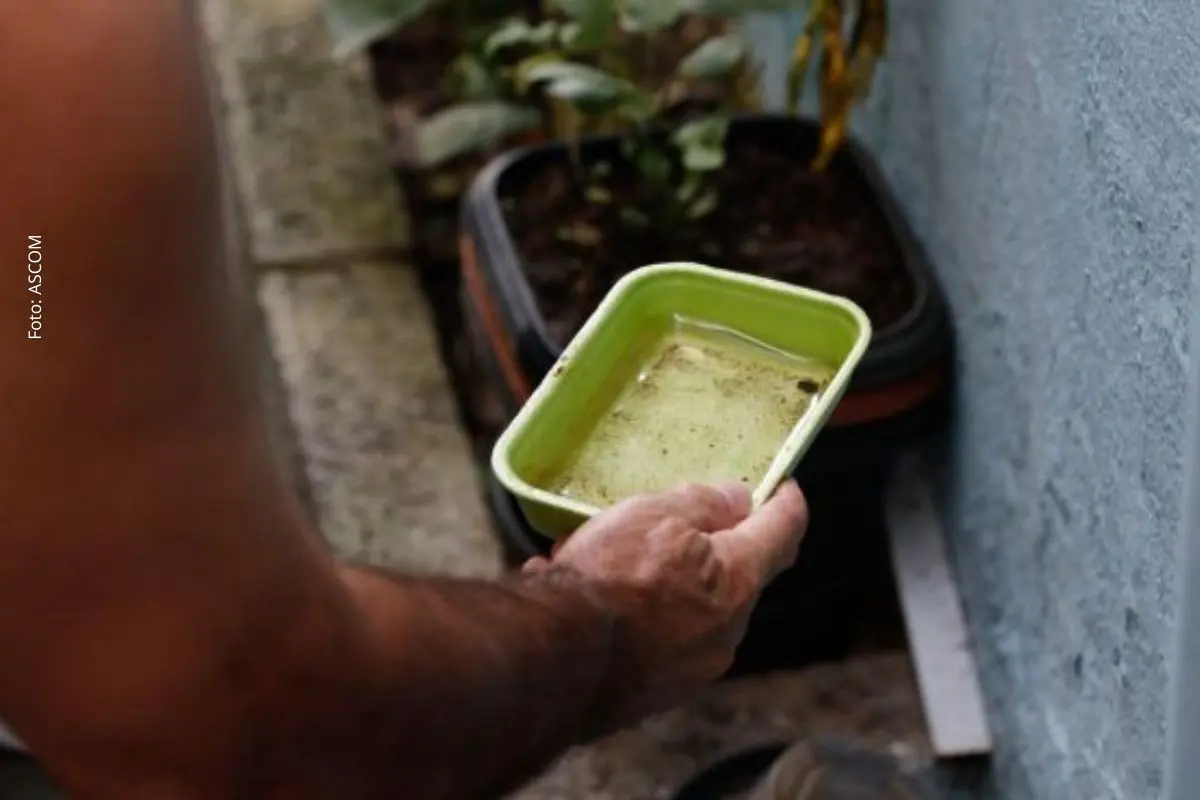 Bahia reduz casos de dengue em 41% em 2026, mas seis municípios seguem em situação de epidemia, diz SESAB