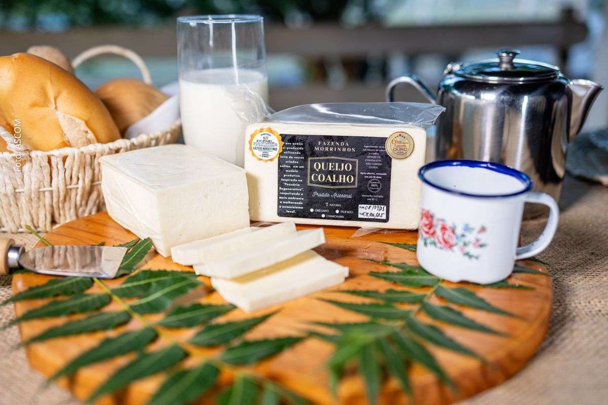 Morrinhos Artesanais confirma participação no Origem Week Bahia com laticínios premiados e produtos regionais