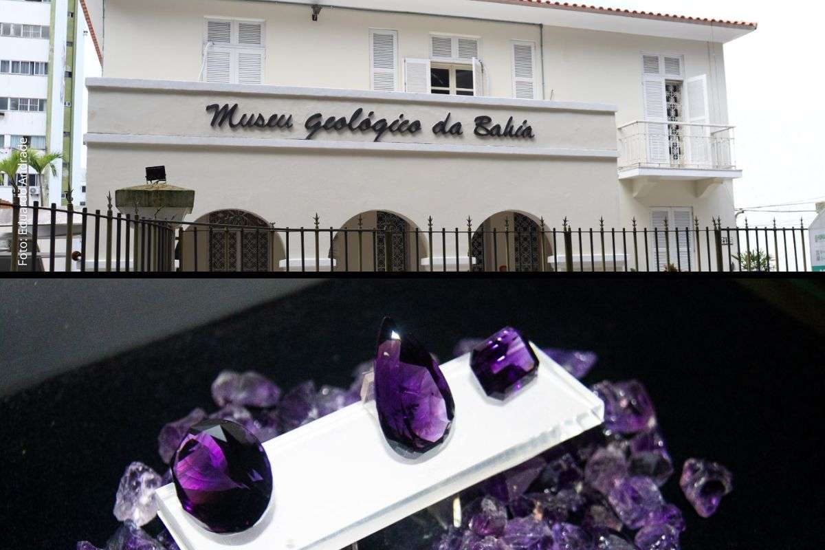 Evento do Museu Geológico da Bahia terá exposição temática, palestras técnicas e encontro gratuito de colecionadores entre maio e setembro de 2026.