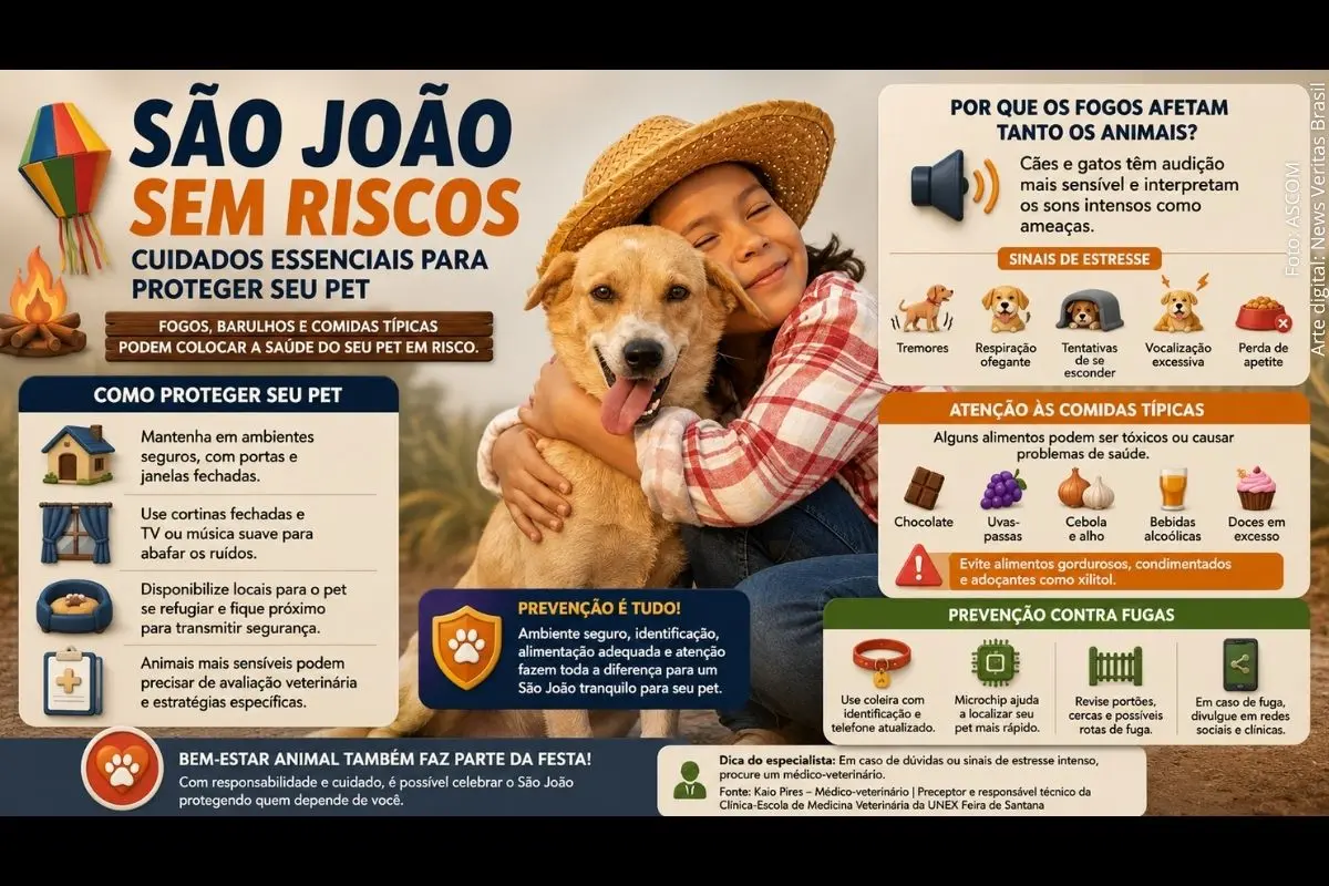 Especialista da Clínica-Escola de Medicina Veterinária da UNEX Feira de Santana orienta tutores sobre cuidados para proteger cães e gatos durante as celebrações de São João.