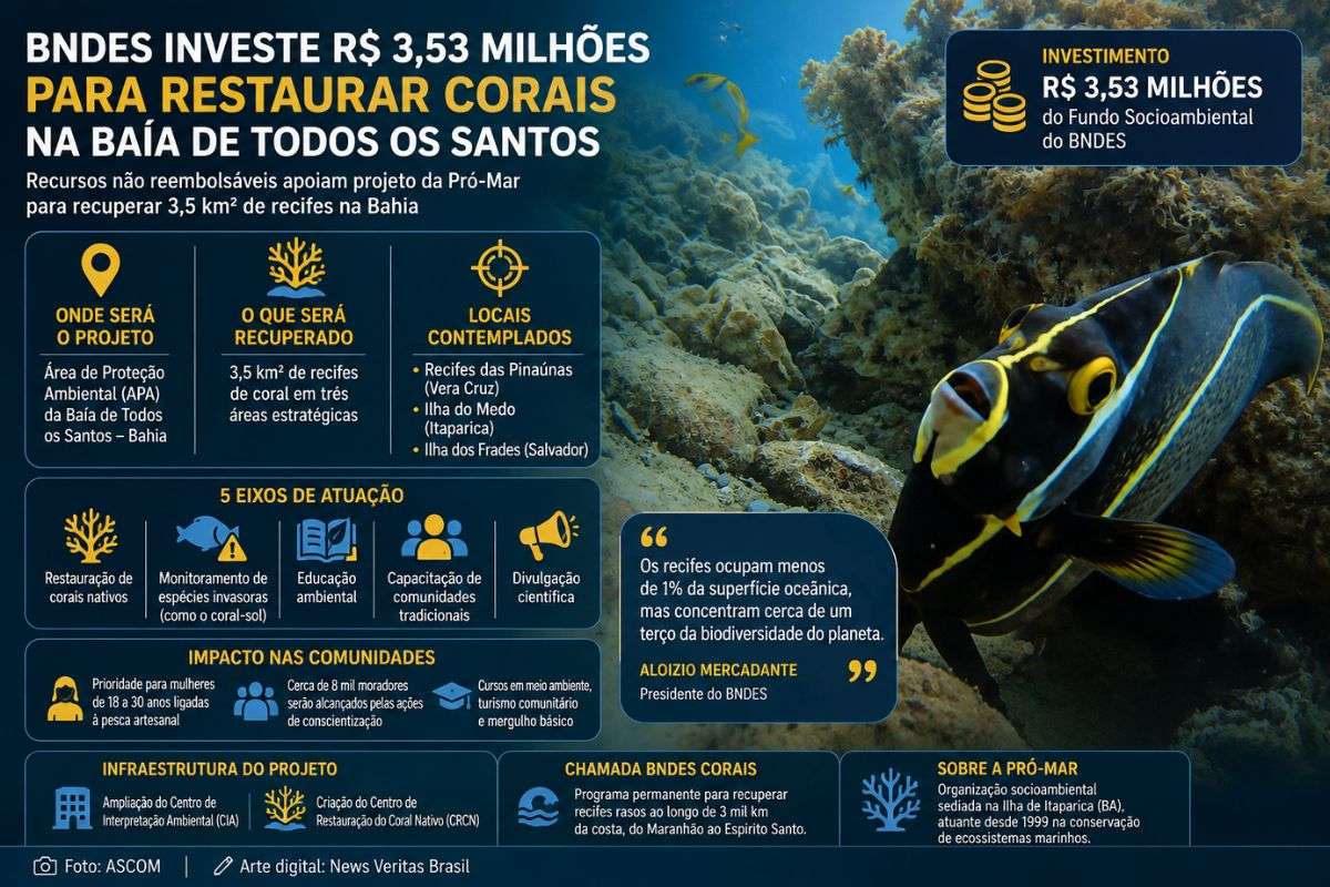 BNDES destina R$ 3,53 milhões para restaurar recifes de corais na Baía de Todos os Santos e ampliar ações ambientais na Bahia