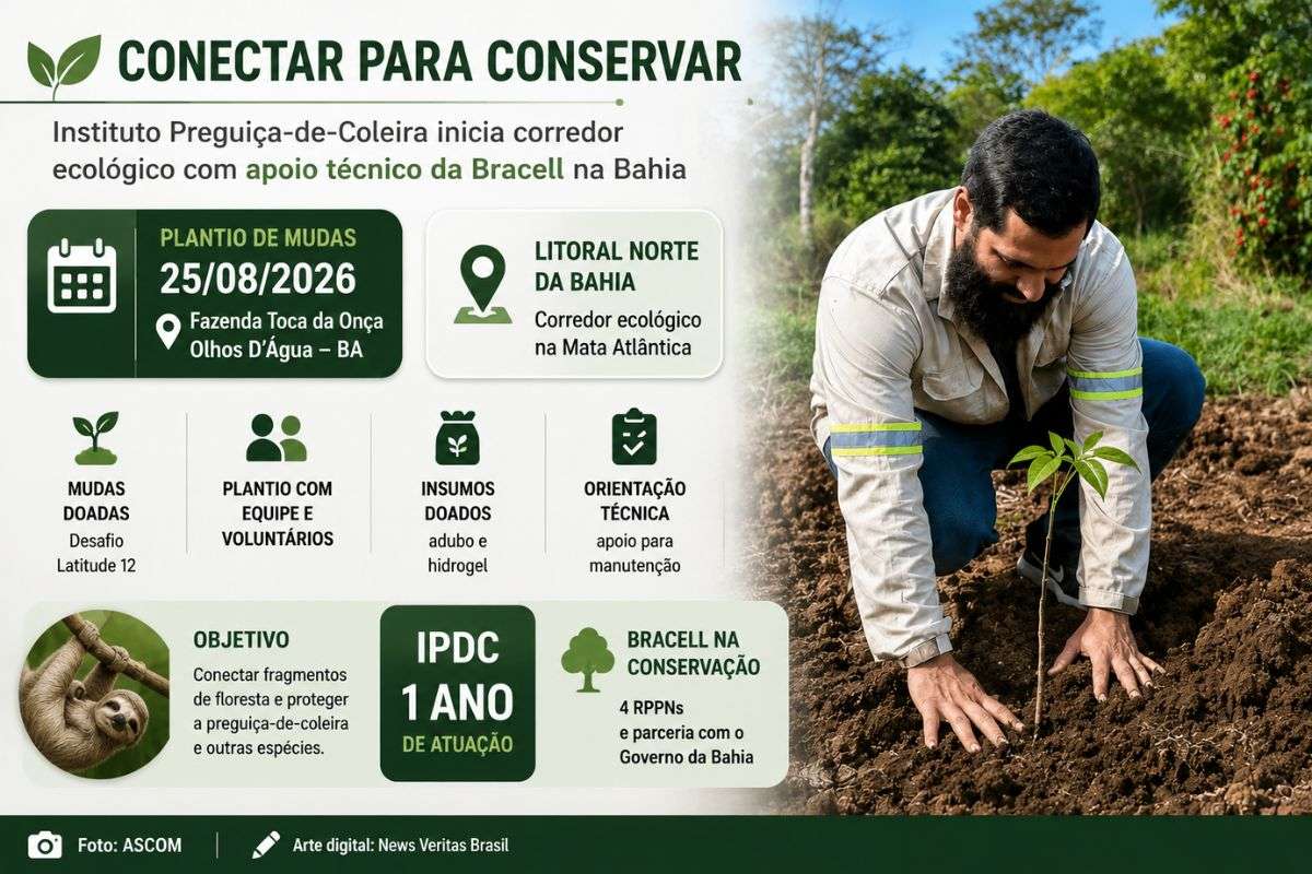 Plantio de espécies nativas da Mata Atlântica será realizado em 25 de agosto, em Olhos D’Água, no Litoral Norte da Bahia, para conectar fragmentos florestais e ampliar áreas de circulação da preguiça-de-coleira.