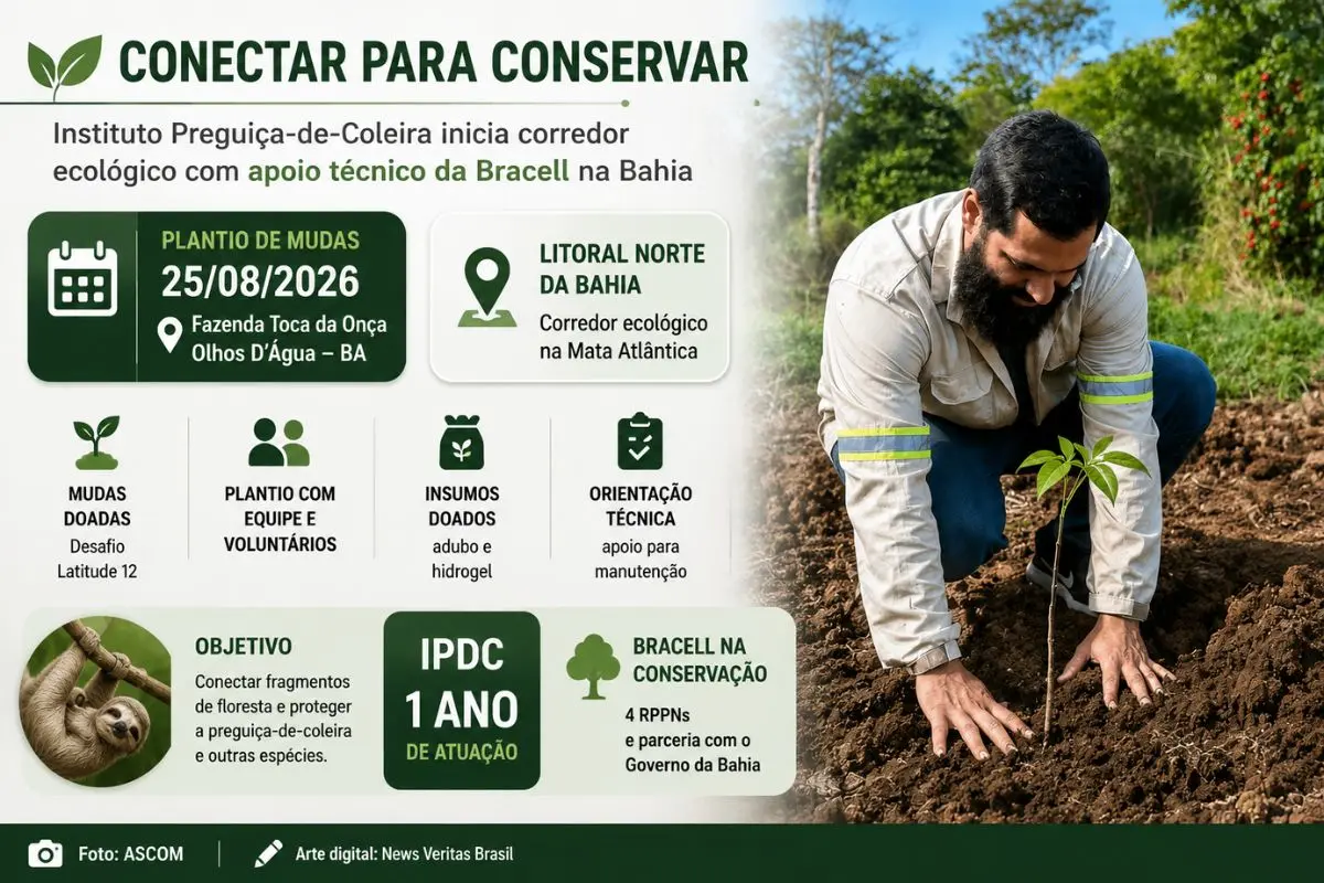 Instituto Preguiça-de-Coleira inicia restauração de corredor ecológico com apoio técnico da Bracell na Bahia
