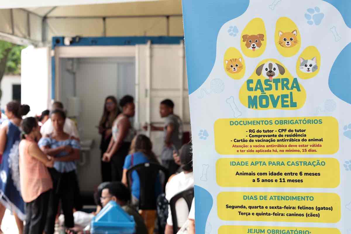 Prefeitura de Salvador amplia Castramóvel para três unidades e aumenta oferta de castração gratuita para cães e gatos