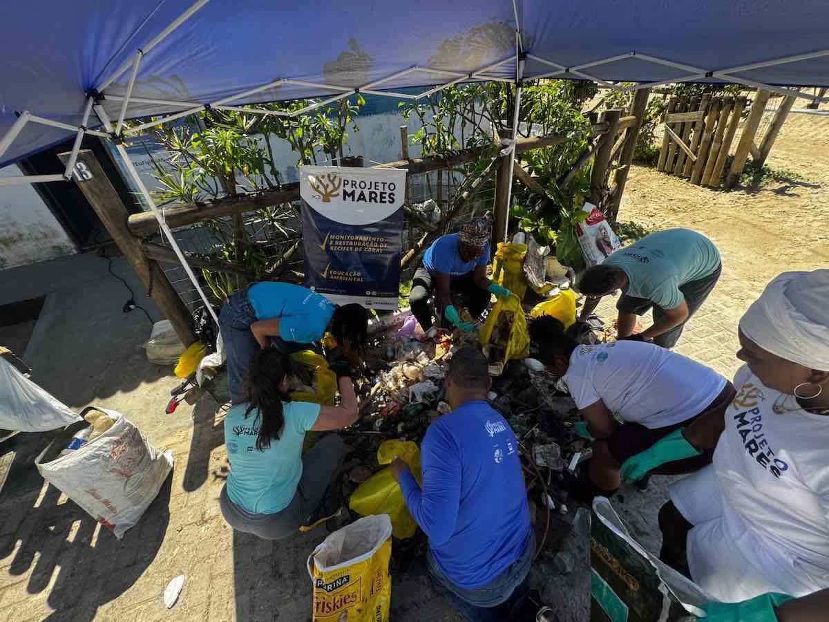 Projeto Mares retira mais de 40 quilos de resíduos de manguezal na Ilha de Itaparica