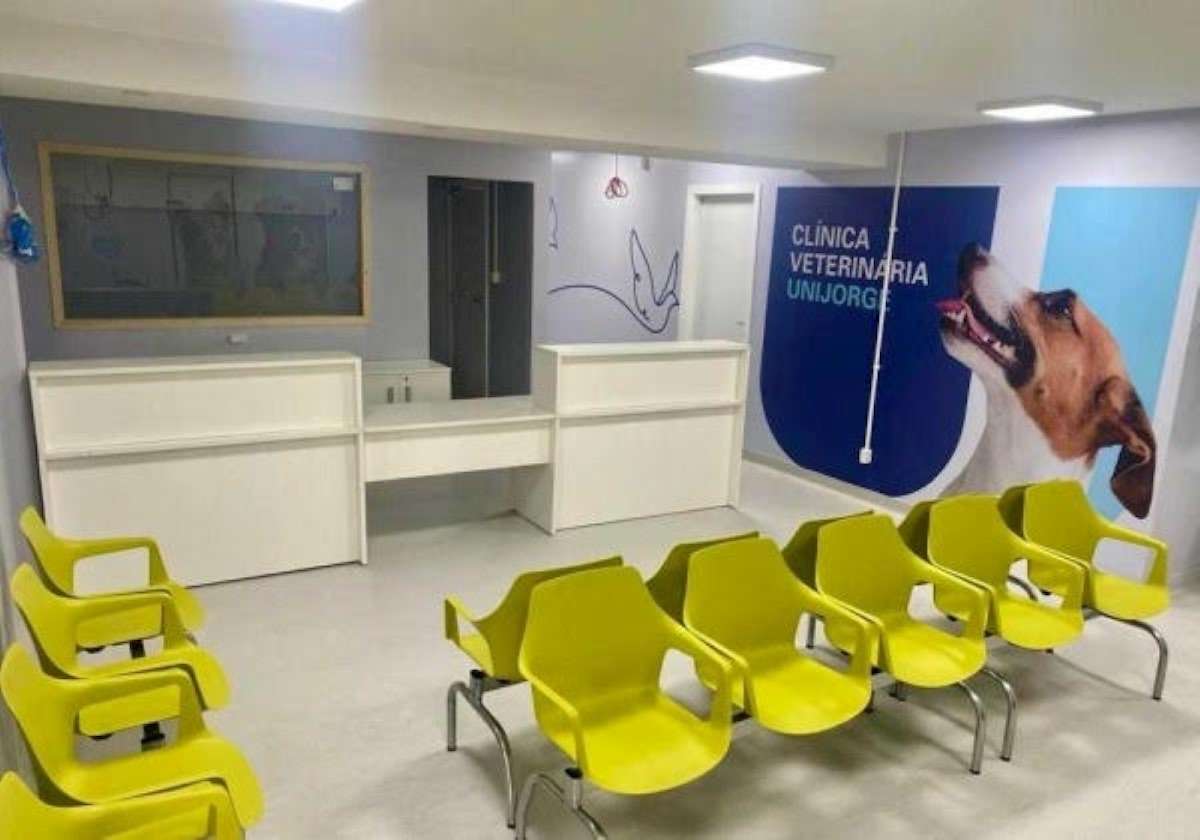 Clínica-Escola Veterinária da Unijorge oferece atendimentos em 13 especialidades no Campus Paralela