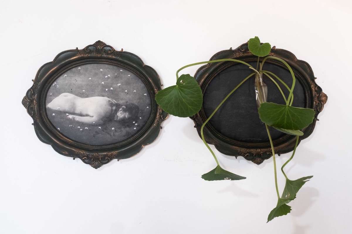O Goethe-Institut Salvador-Bahia recebe, a partir de 25 de setembro, a exposição “Dada a natureza das imagens não se exibem fotos”, de Patrícia Paixão. A mostra reúne trabalhos recentes que utilizam imagens da imprensa, cinema e pornografia para discutir representação do feminino, amor romântico, erotismo e violência. Com texto crítico de Alejandra Muñoz, a exposição tem entrada gratuita e permanece aberta ao público até 24 de outubro de 2026.