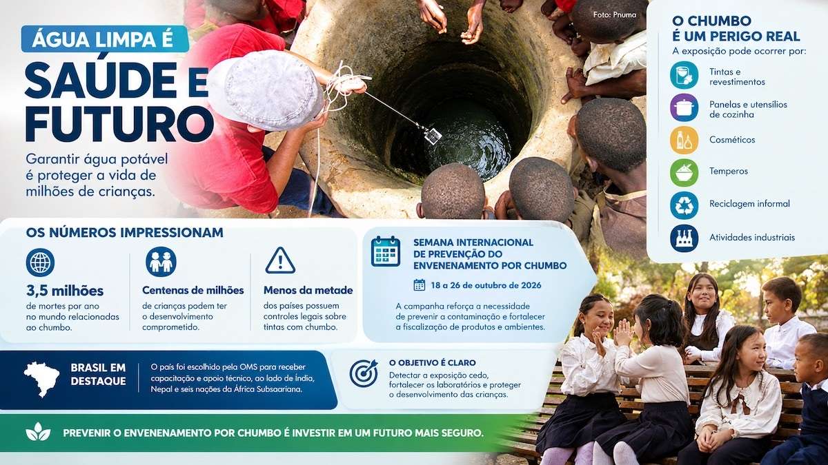 Brasil amplia atuação internacional contra intoxicação por chumbo e reforça proteção à saúde infantil